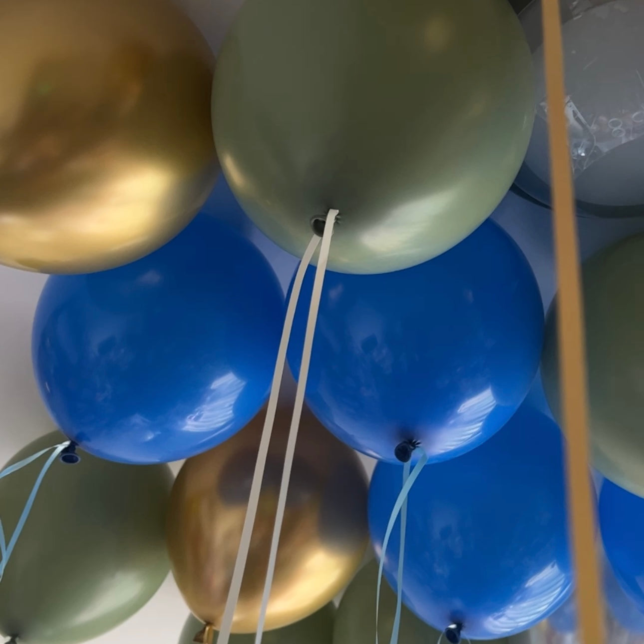 Loose Balloons - Standard Color